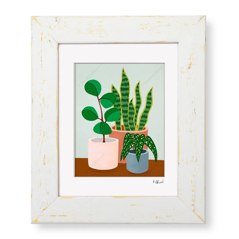 PLANT #2602